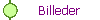 Billeder